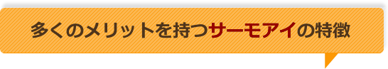 多くのメリットをもつサーモアイの特徴